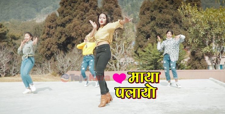 यस्तो बनेकाे छ अवार्ड प्राप्त गीत “माया पलायो” – हेर्नुहोस् (भिडियो सहित)