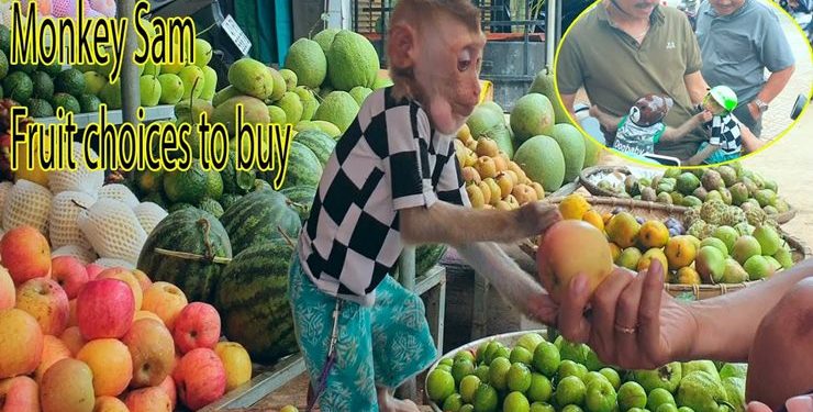 संसारनै चकित पार्ने तरकारी व्यापारी बाँदर, यसरी दिन्छ तरकारी (हेर्नुस् भिडियो )