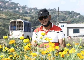 चर्चित गीतकार घायल भन्छन –  “गीत लेख्दा लेख्दै मर्न पाउँ”