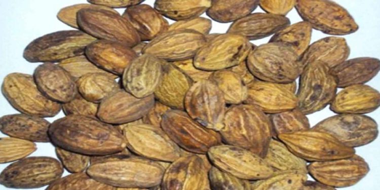 थाहा पाउनुहोस औषधीय गुण भएका हर्रो र बर्रोका फाइदा