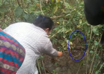 कान्छी श्रीमतीबाट मारिएको दिनेश शव झोलामा… (भिडियो)