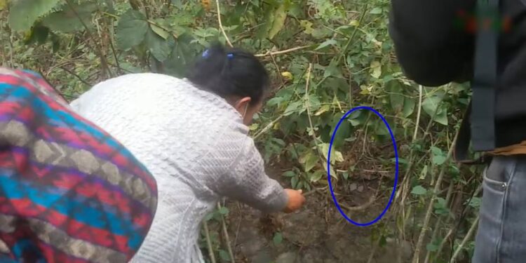 कान्छी श्रीमतीबाट मारिएको दिनेश शव झोलामा… (भिडियो)