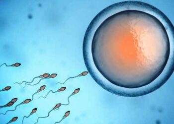 शुक्रकीटको मात्रा विश्वभरि निरन्तर घट्नुका यस्ता छन् ५ कारणहरू… हर्नुहोस्