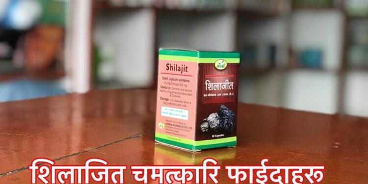 कहिले शिलाजित सेवन गर्नु भएको छ? थाहा पाउनुहोस् शिलाजितका चमत्कारी औषधीय गुण