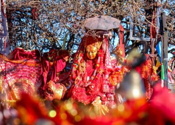 पाथीभरा क्षेत्रका बोटबिरुवामा फालमे काँठी ठोकिए पछिको चिन्ता