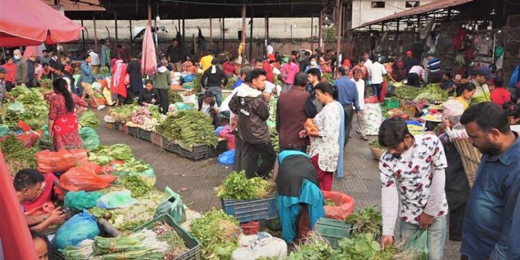एकै दिन दुई सयले बढ्यो कुरीलोको भाउ, अरु तरकारीको बजार भाउ कस्तो छ?