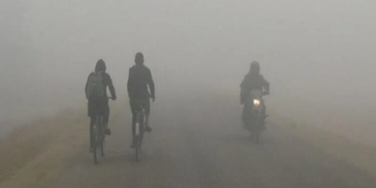 शीतलहरबाट जनजीवन कष्टकर बन्दै…