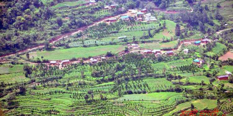 जन्ती फर्केपछि बेहुलीको घरमा नाचगान गर्न खोजे, सम्झाउन खोज्दा युवकको हत्या